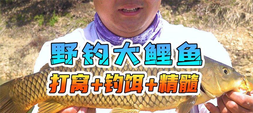 冬季野钓怎么搭配装备？哪些钓法最有效？