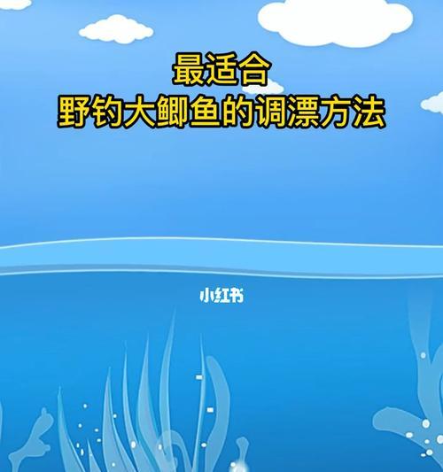 冬季野钓钓底调漂技巧是什么？如何正确调整漂浮物？