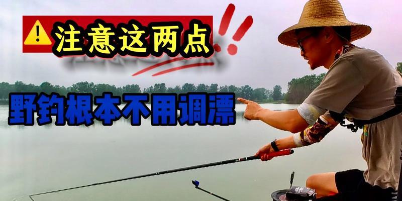 冬季野钓调漂技巧有哪些？如何应对低温天气的挑战？