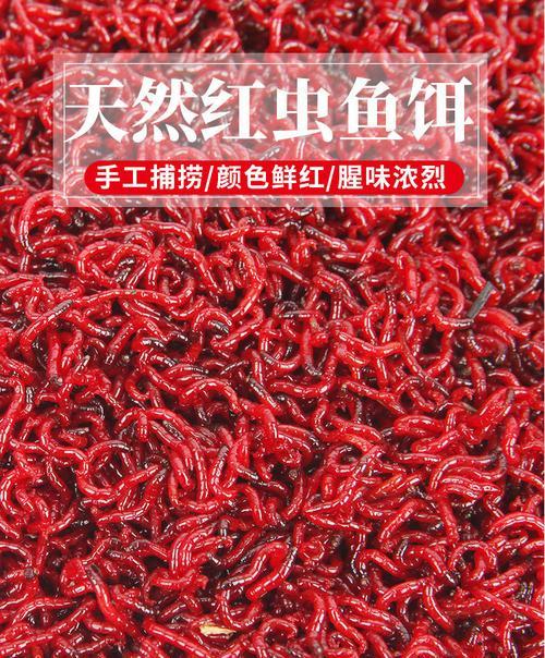冬季野钓红虫颗粒打窝技巧是什么？如何正确使用红虫颗粒打窝？