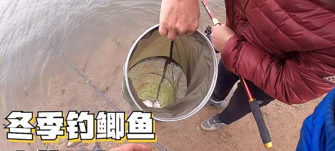 冬季野钓鲫鱼串钩技巧是什么？如何提高钓获率？
