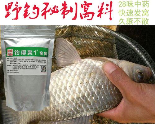 冬季野钓鲫鱼打窝技巧有哪些？如何有效吸引鲫鱼？