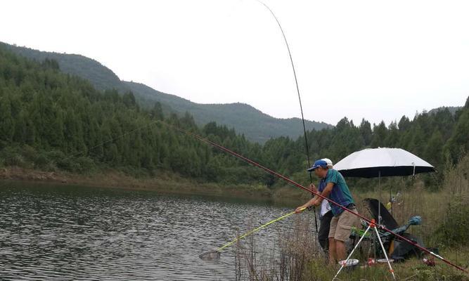 冬季野钓鲫鱼海竿技巧有哪些？如何提高冬季海竿钓鲫鱼的成功率？