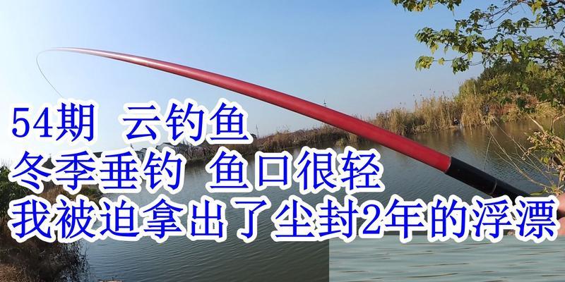 冬季野钓鲫鱼技巧有哪些？调漂方法如何教学？