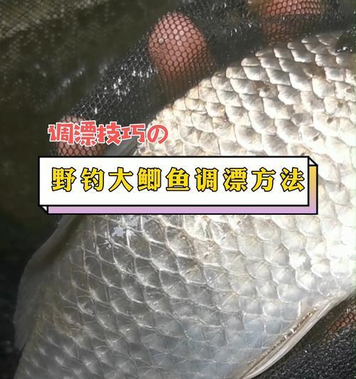 冬季野钓鲫鱼时如何正确加粗尾调漂？有哪些技巧？