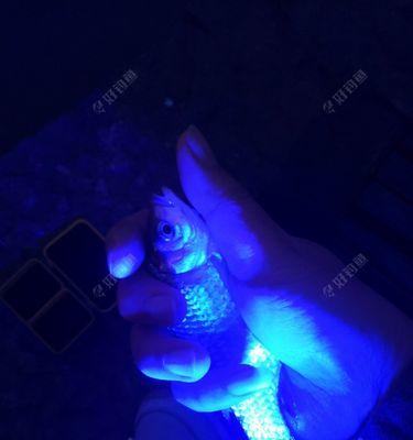 冬季夜钓鲫鱼调漂技巧教程？如何提高钓获率？
