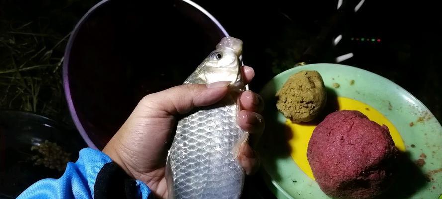 冬季夜钓水库鱼技巧有哪些？如何提高冬季夜钓的成功率？