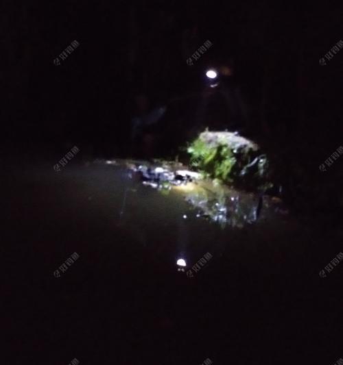 冬季夜钓水库鱼技巧有哪些？如何提高冬季夜钓的成功率？