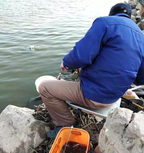 冬季夜钓鱼打窝技巧是什么？如何有效提高鱼获量？