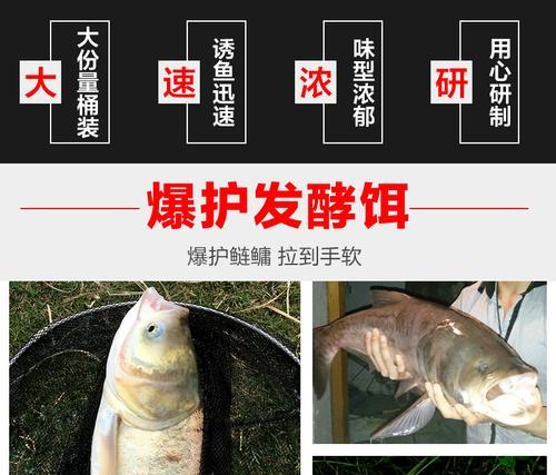 冬季夜晚如何钓白鲢？掌握哪些技巧和方法能提高成功率？