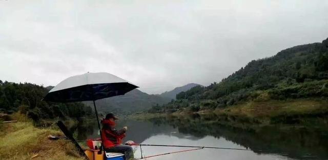 冬季阴天钓鱼技巧有哪些？鱼塘钓鱼需要注意什么？