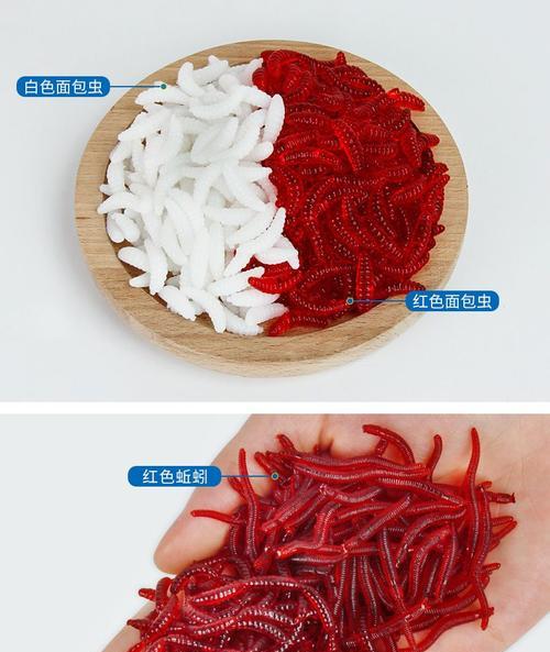 冬季野钓鲫鱼如何使用红虫上饵？有哪些技巧能提高成功率？