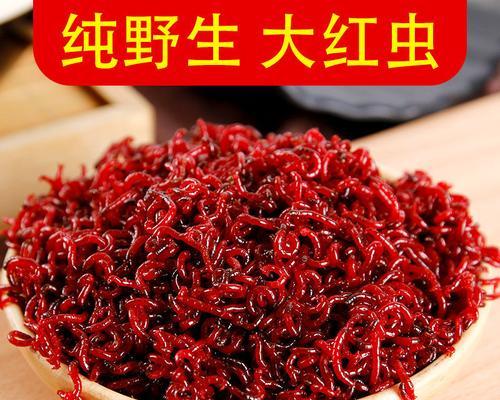 冬季野钓鲫鱼如何使用红虫上饵？有哪些技巧能提高成功率？