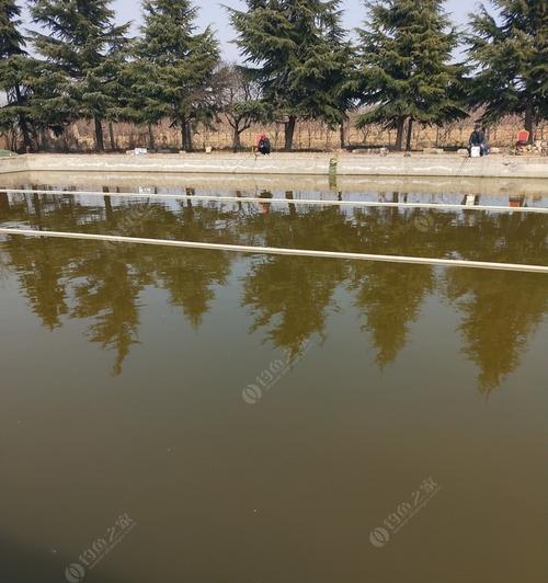 冬季鱼池钓鱼方法与技巧是什么？如何提高冬季钓鱼的成功率？