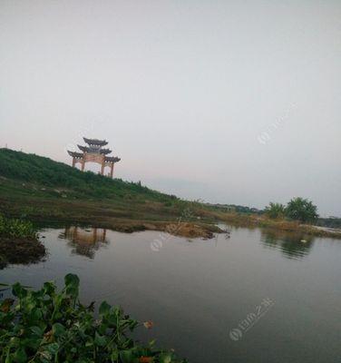 高安钓鱼野钓技巧有哪些？如何提高钓鱼成功率？