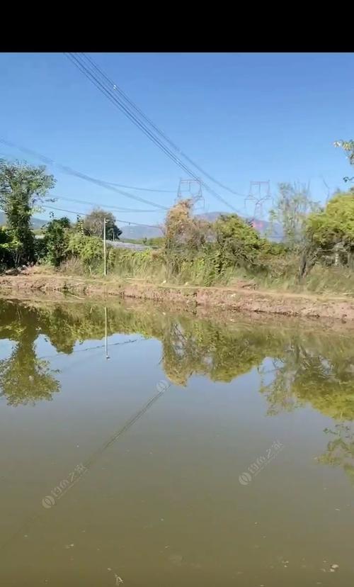 高草水域钓鱼技巧有哪些？如何提高钓获率？