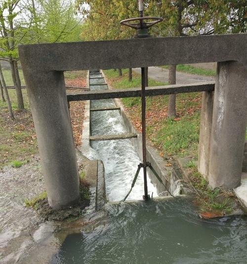 高高的水闸口钓鱼技巧有哪些？如何提高钓鱼成功率？