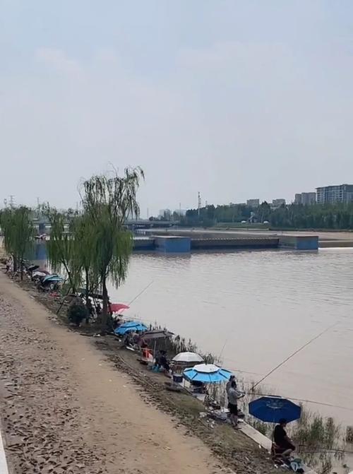 高空挥杆钓鱼技巧有哪些？如何提高钓鱼成功率？