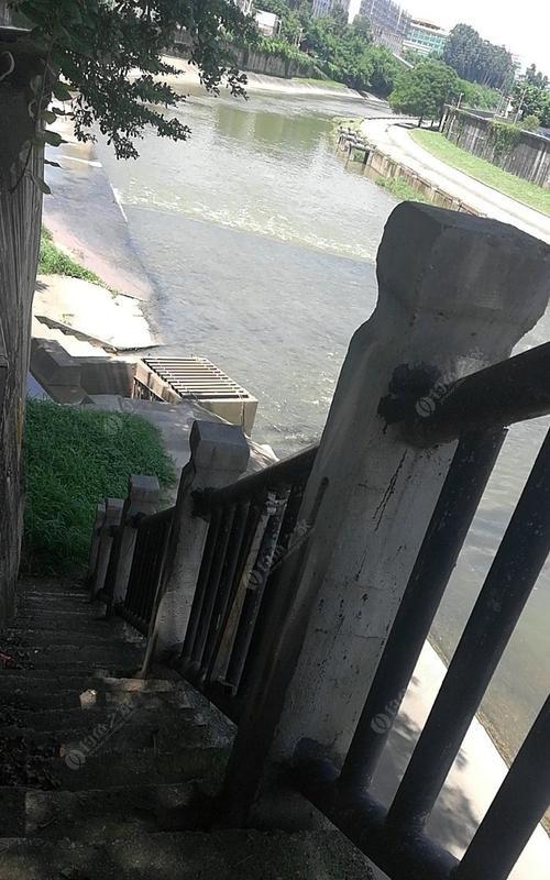 高空挥杆钓鱼技巧有哪些？如何提高钓鱼成功率？
