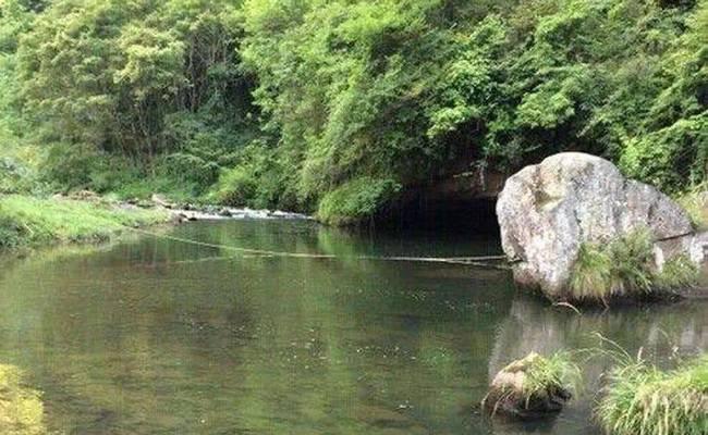 高山溪流钓鱼技巧教程？如何提高钓获率？