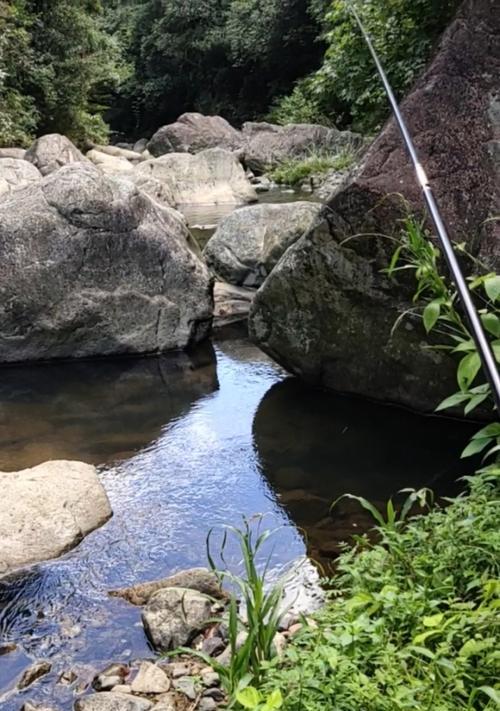 高山下水坑钓鱼技巧有哪些？如何提高钓鱼成功率？