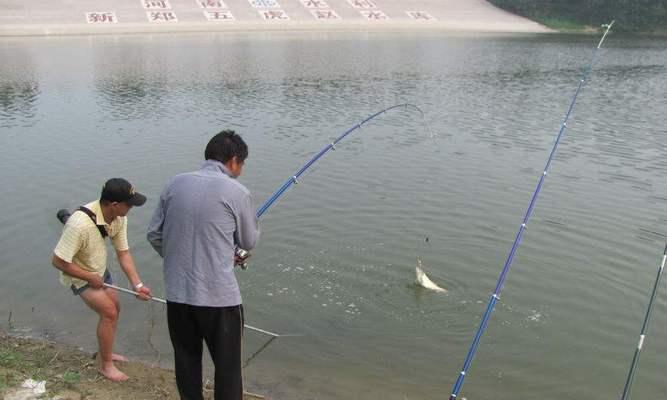 高手钓鱼钓龙虾技巧有哪些？如何提高成功率？
