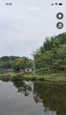 高手黑坑钓鱼的六个实战技巧是什么？如何提高钓鱼成功率？