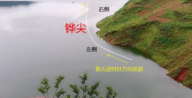 高手如林钓鱼技巧有哪些？如何快速掌握这些技巧？