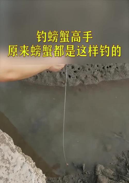 高手在民间无铅钓鱼技巧有哪些？如何提高钓鱼成功率？