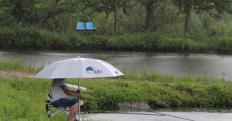 高温钓鱼的技巧是什么？如何应对夏季钓鱼的挑战？