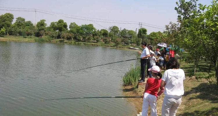 高温钓鱼的技巧是什么？如何应对夏季钓鱼的挑战？
