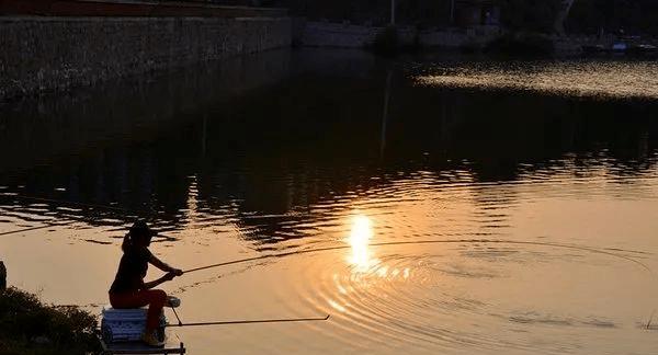 高温钓鱼技巧野钓？如何在炎热天气中成功钓到鱼？