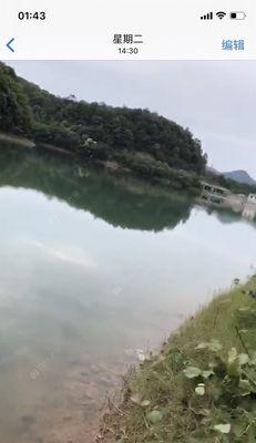 高温混养塘钓鱼技巧有哪些？如何应对高温天气下的钓鱼挑战？