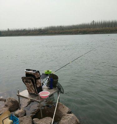 高温流水钓鱼技巧教程？如何应对高温天气下的钓鱼挑战？