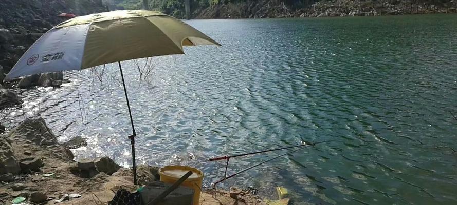 高温流水钓鱼技巧教程？如何应对高温天气下的钓鱼挑战？