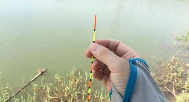 高温天气钓鱼技巧有哪些要领？如何应对高温天气钓鱼的挑战？