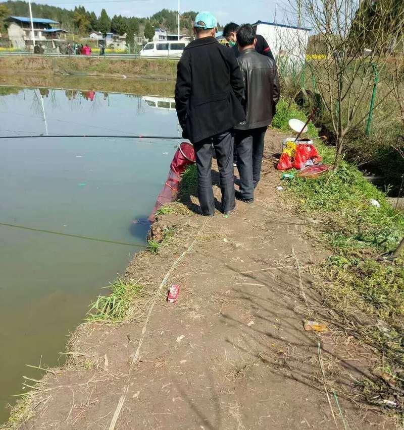 高压线钓鱼技巧是什么？如何安全有效地进行高压线钓鱼？