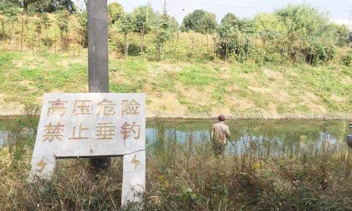 高压线下钓鱼技巧有哪些？如何安全进行高压线下钓鱼活动？