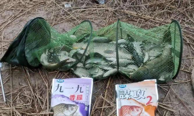 格小格钓鱼技巧有哪些？如何提高钓鱼成功率？
