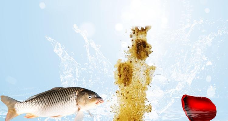 隔夜饵料钓鱼技巧有哪些？如何正确使用提高钓鱼效率？