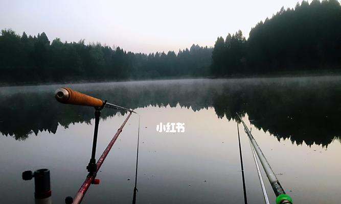 为什么你的钓鱼技巧总是落后？如何快速提升？