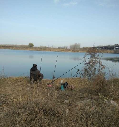 跟钓友学习钓鱼技巧？如何快速掌握钓鱼技巧？