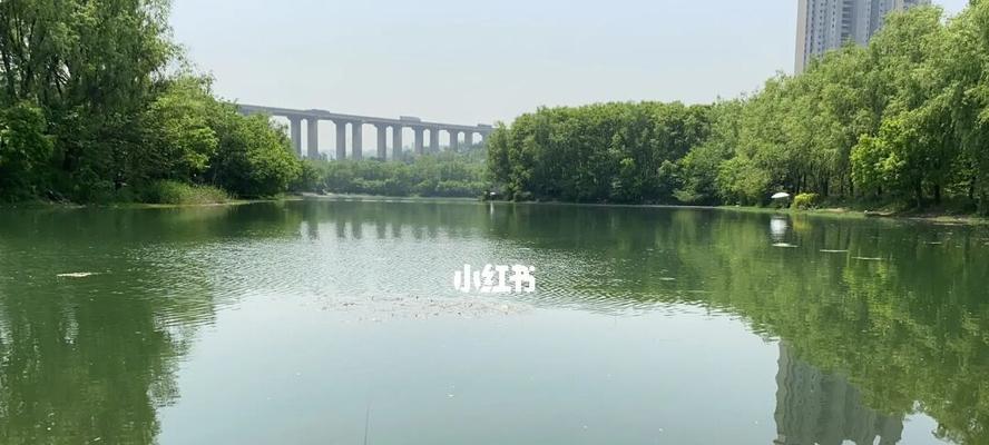 工作之余钓鱼技巧有哪些？如何提高钓鱼效率？