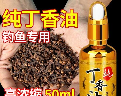 公丁香泡酒钓鱼技巧窍门是什么？如何提高钓鱼成功率？