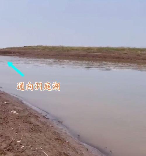 公路小水沟钓鱼技巧有哪些？如何提高钓鱼成功率？
