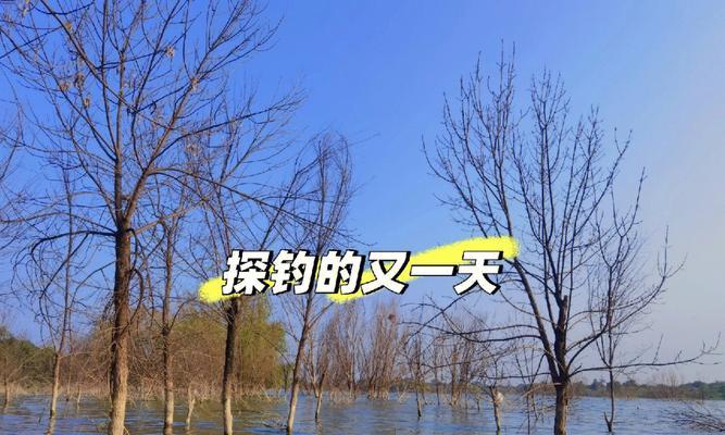 公园边钓鱼技巧有哪些？如何提高钓鱼成功率？