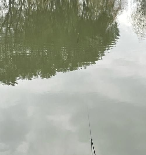 公园钓鱼时使用多长的竿子最合适？如何根据鱼种选择钓竿长度？