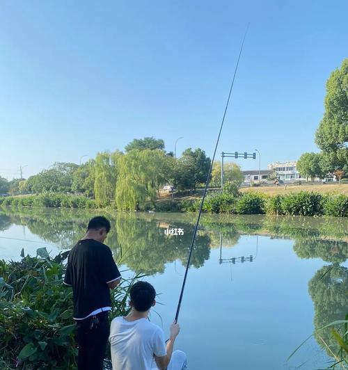 公园钓鱼新手技巧？如何快速掌握钓鱼要点？