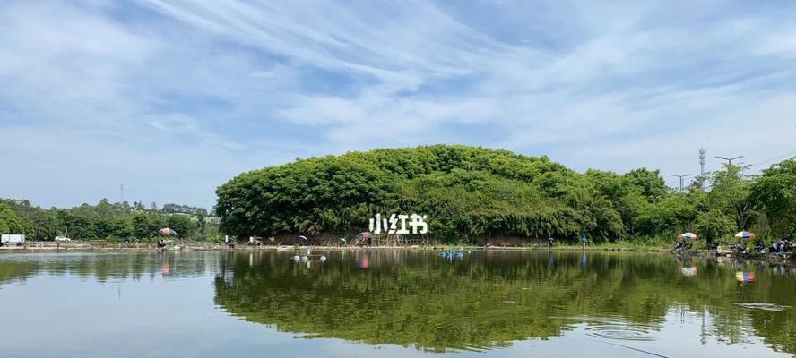 公园儿童钓鱼技巧有哪些？如何提高孩子的钓鱼技能？