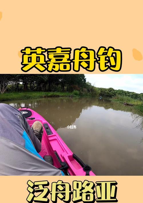 公园河道钓鱼技巧有哪些？如何提高钓鱼成功率？